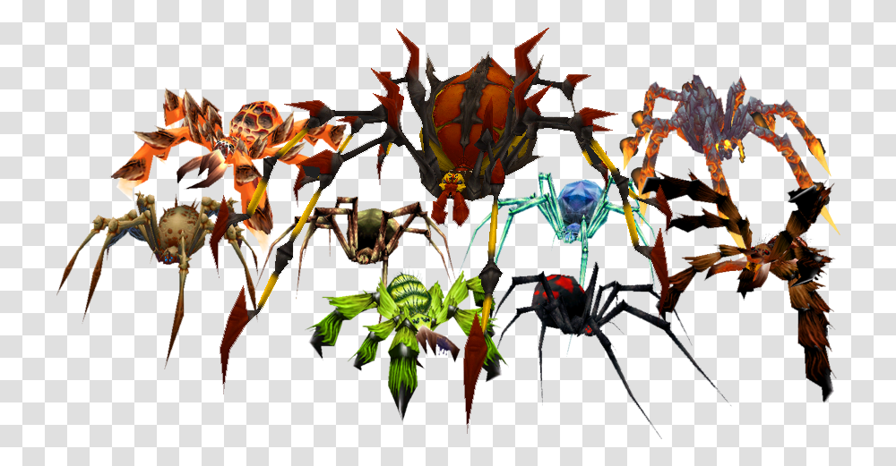 The Many Species Of Spider Appearing In World Of Warcraft World Of Warcraft Spider Pets, Ornament, Pattern, Fractal Transparent Png