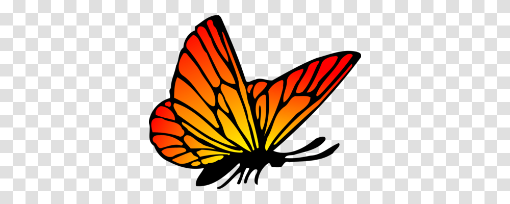 The Monarch Butterfly, Nature, Outdoors, Flare, Light Transparent Png