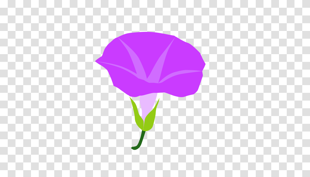 The Morning Glory Morning Sun Icon With And Vector Format, Petal, Flower, Plant, Blossom Transparent Png