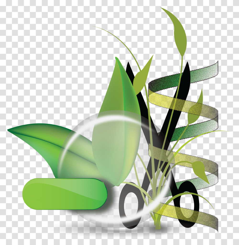The Moschou Lab, Plant, Pottery Transparent Png