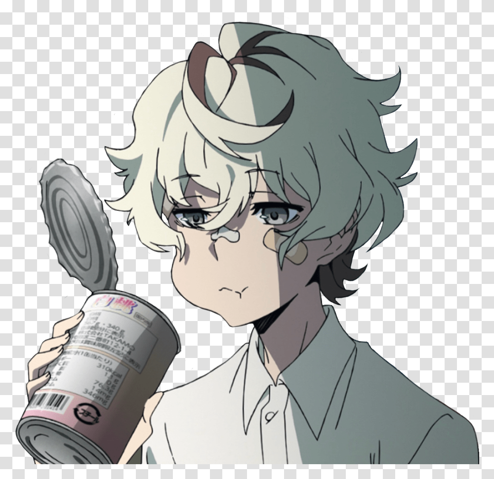 The Most Edited Aesthetic Boy Anime Pfps, Person, Human, Tin, Can Transparent Png