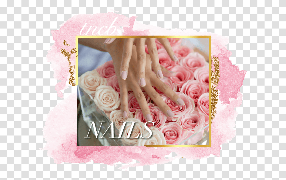 The Nail And Champagne Bar - Home Garden Roses, Icing, Cream, Cake, Dessert Transparent Png