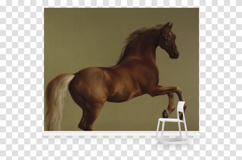 The National Gallery Shop, Horse, Mammal, Animal, Colt Horse Transparent Png
