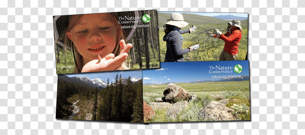 The Nature Conservancy Tv Spot Uses Cm Footage Photomontage, Person, Collage, Poster, Advertisement Transparent Png