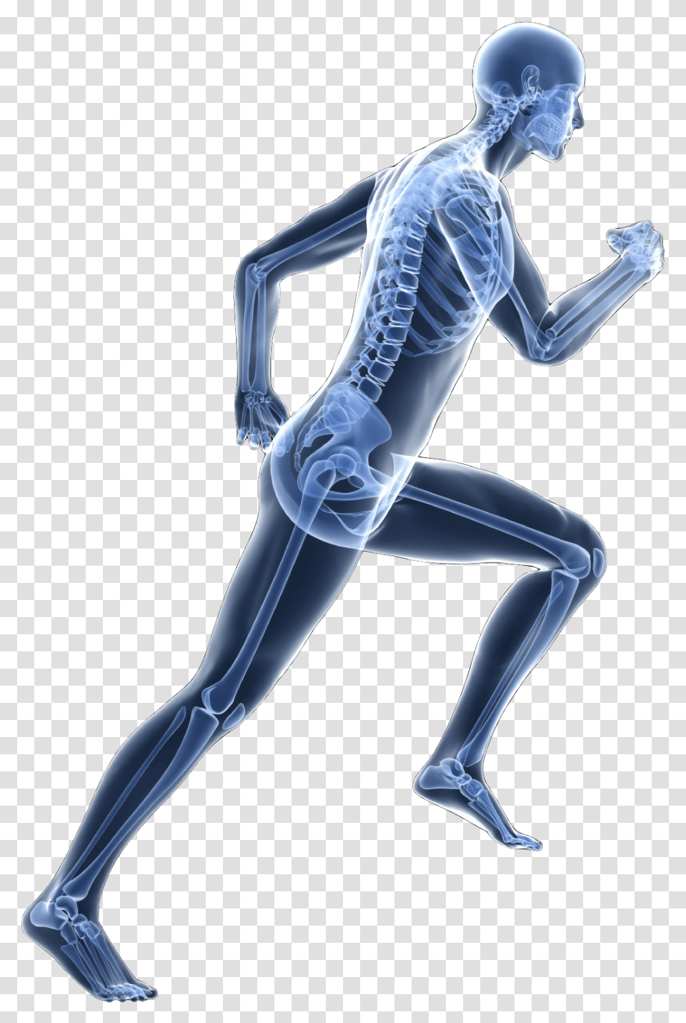 The Nervous System, X-Ray, Medical Imaging X-Ray Film, Ct Scan, Person Transparent Png