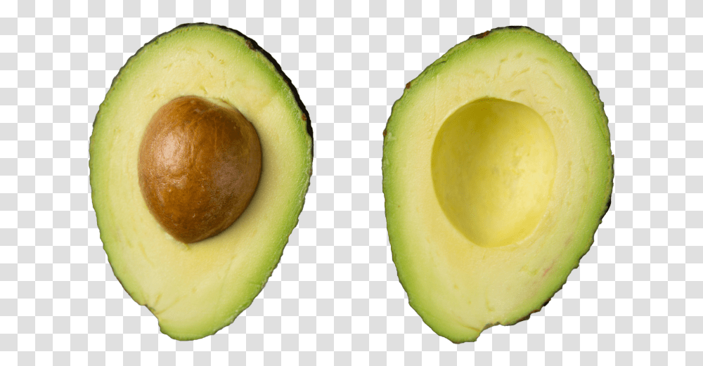 The New Stem Cell Multiplication Method Could Double Avocado, Plant, Fruit, Food, Apple Transparent Png