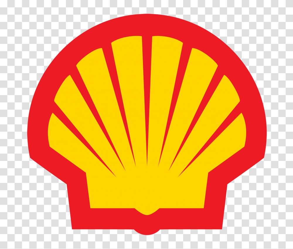 The New York Times Logo Stickpng Shell Logo, Sea Life, Animal, Clam, Seashell Transparent Png