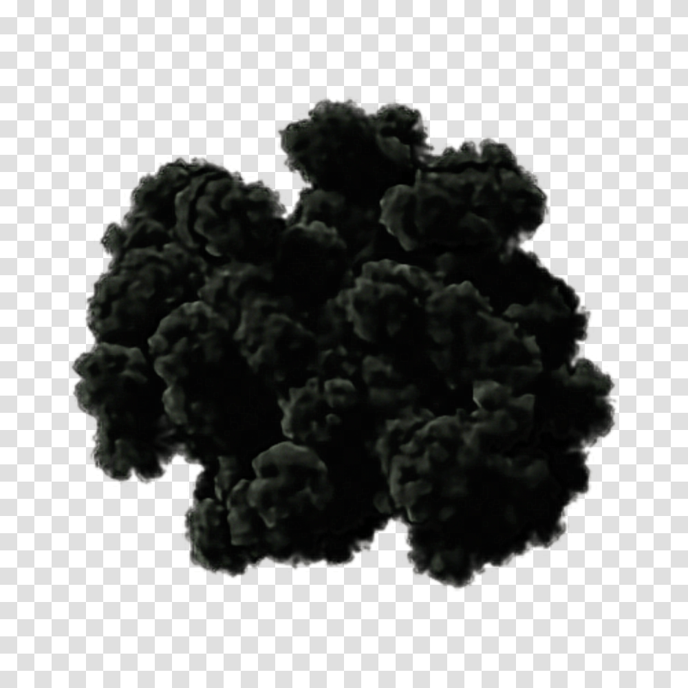 The Newest Blacksmoke Stickers Transparent Png