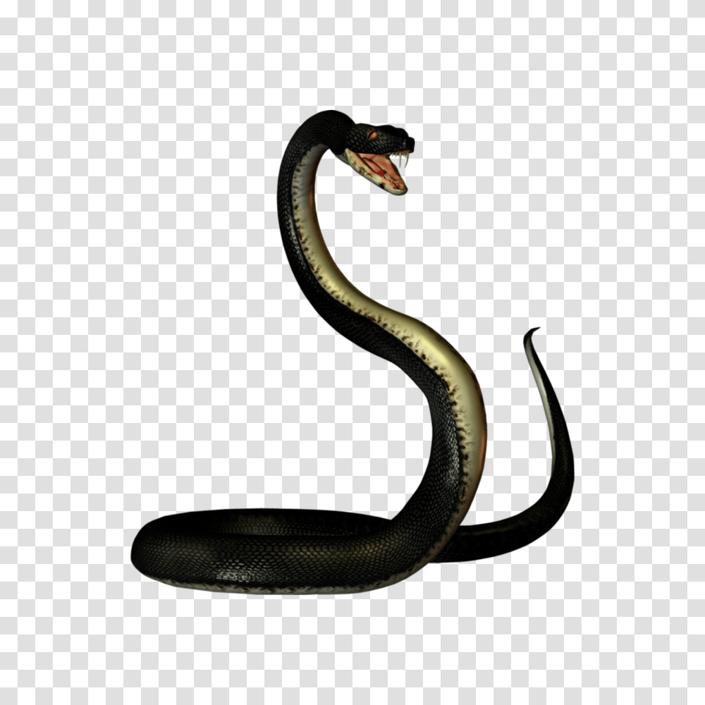 The Newest Cobra Galle Stickers, Reptile, Animal, Snake Transparent Png