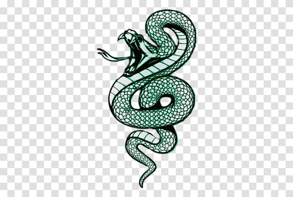 The Newest Slytherin Stickers, Snake, Reptile, Animal, King Snake Transparent Png