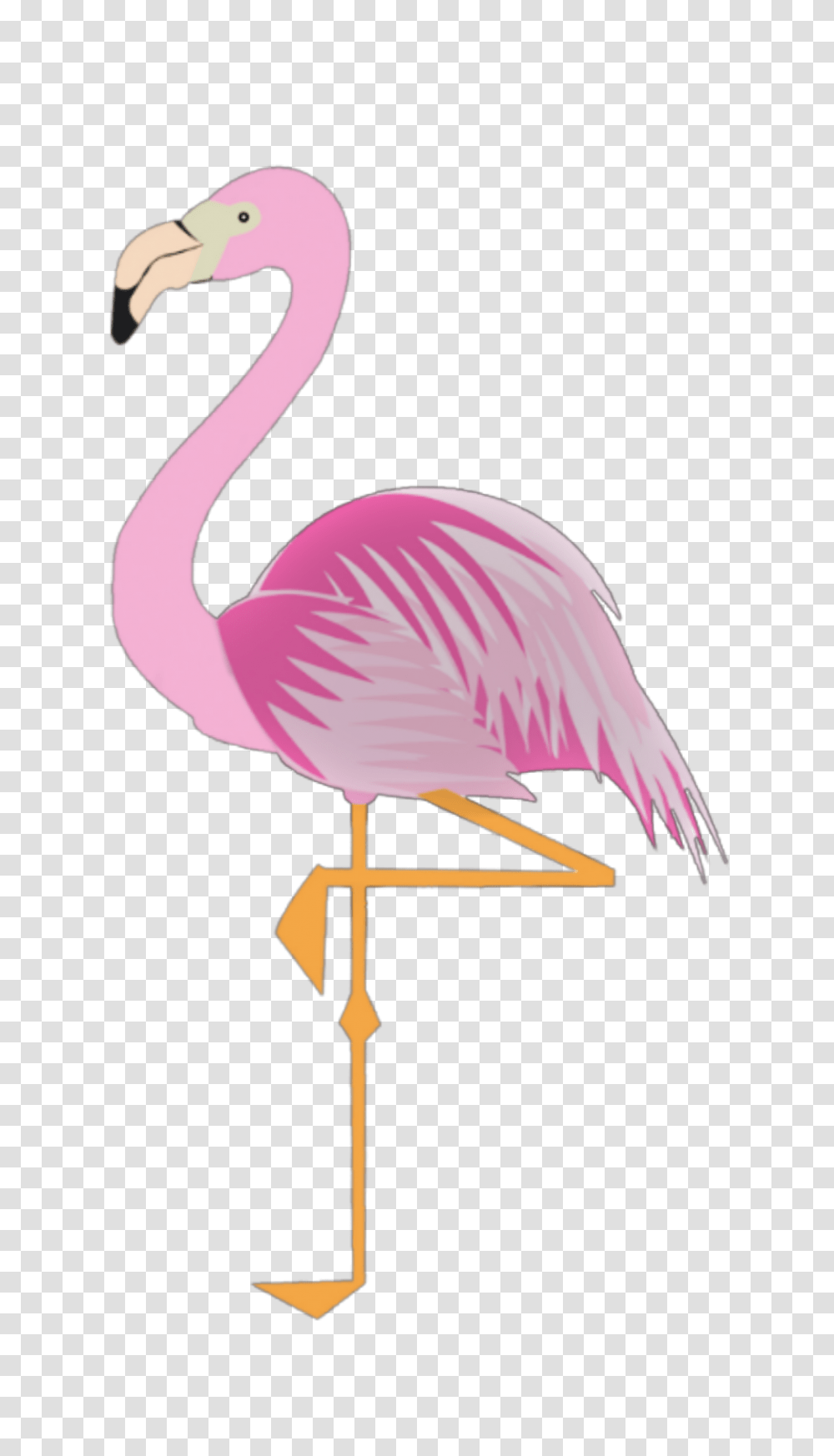 The Newest Stickers, Bird, Animal, Flamingo Transparent Png