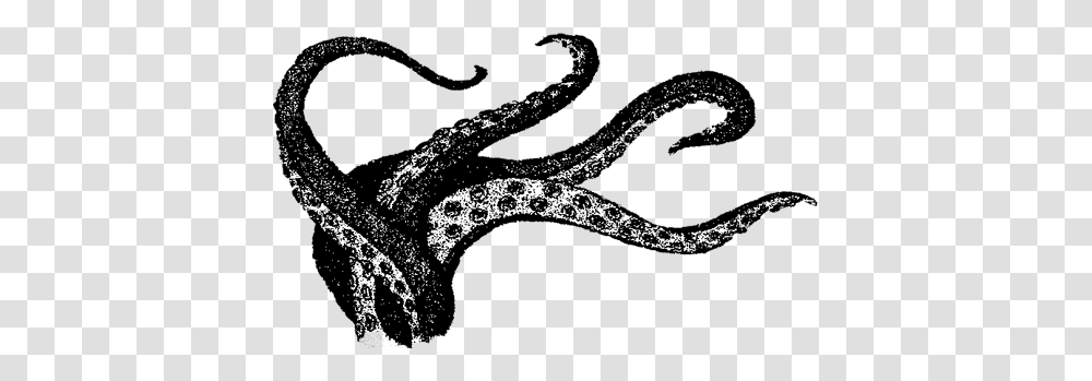 The Newest Tentacles Stickers, Animal, Reptile, Snake, Mammal Transparent Png