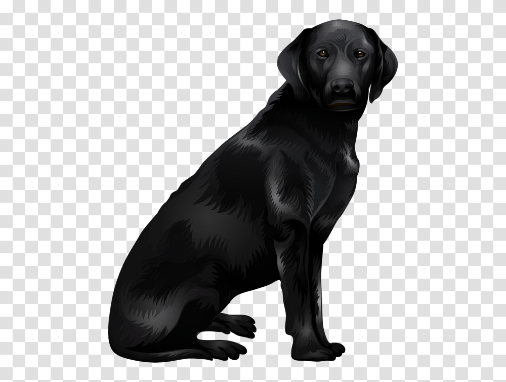 The Nitty Gritty League Of Live Black Pilled, Dog, Pet, Canine, Animal Transparent Png