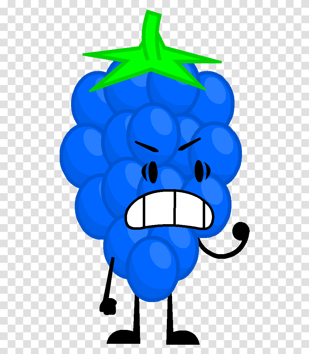 The Object Battle Worldness Wiki Blue Raspberry, Plant Transparent Png