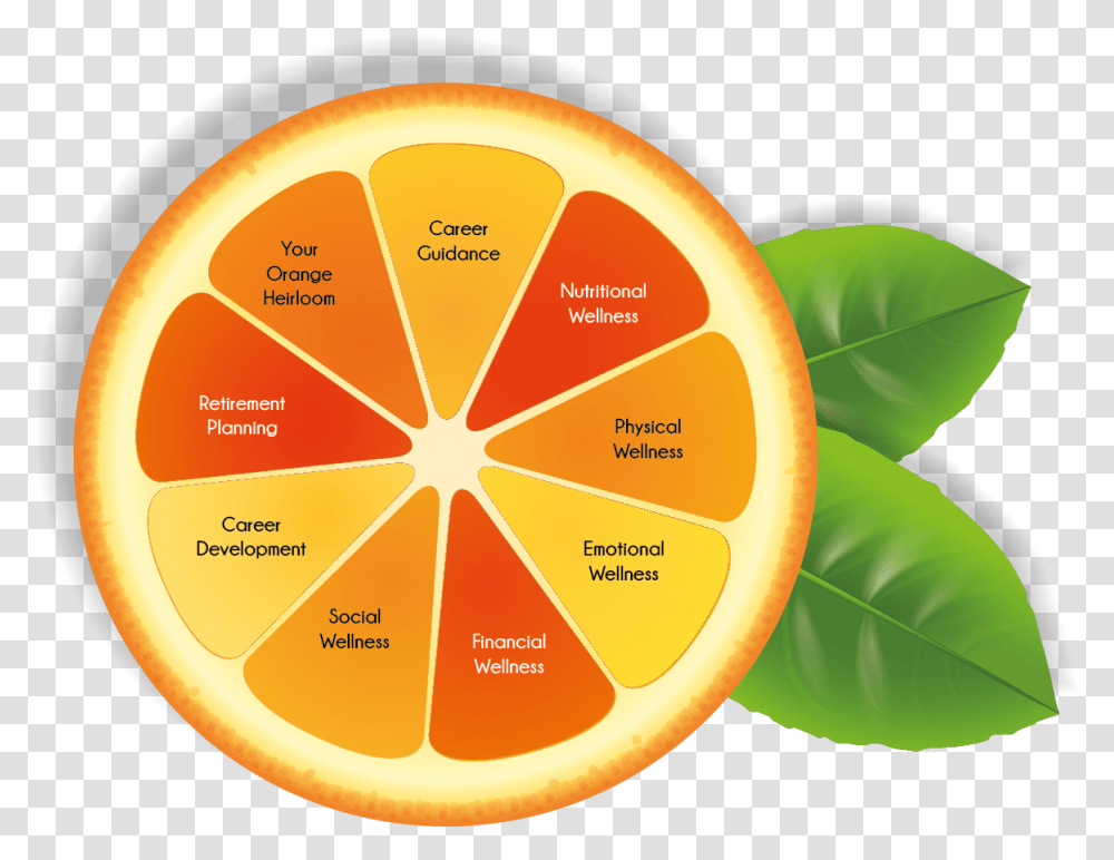 The Orange Life Live The Orange Life, Plant, Fruit, Food, Leaf Transparent Png