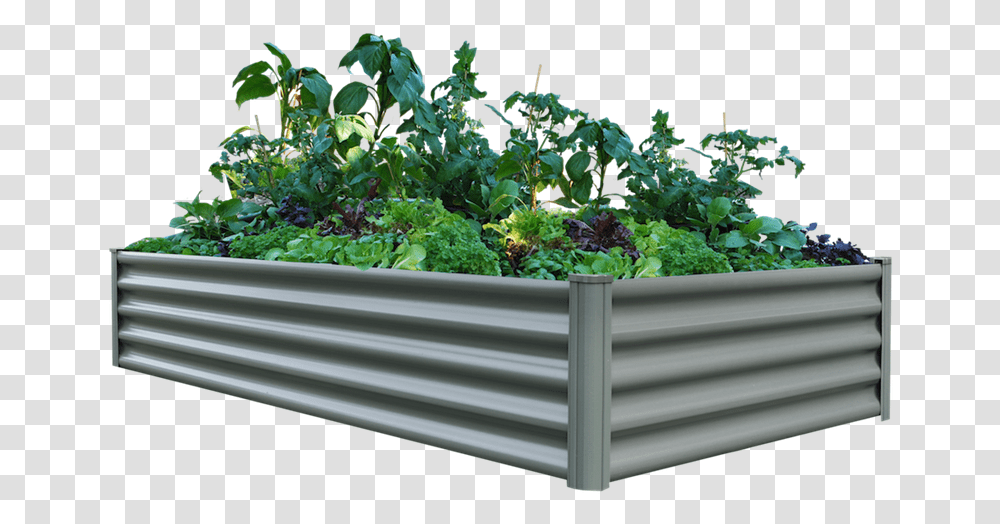 The Organic Garden Co 200 X 100 41cm Raised Rectangle Bunnings Raised Garden Bed, Potted Plant, Vase, Jar, Pottery Transparent Png