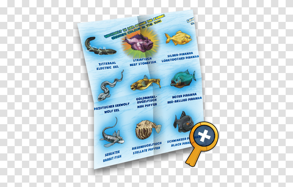 The Originals Flyer, Animal, Sea Life, Reptile, Advertisement Transparent Png