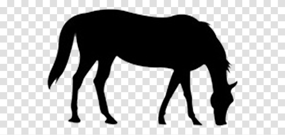The Outline Of The Horse Download Horse, Mammal, Animal, Wildlife, Antelope Transparent Png
