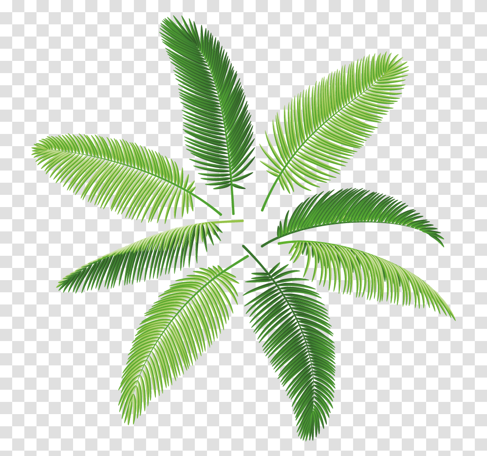 The Palm Plant Print, Leaf, Green, Weed, Fern Transparent Png