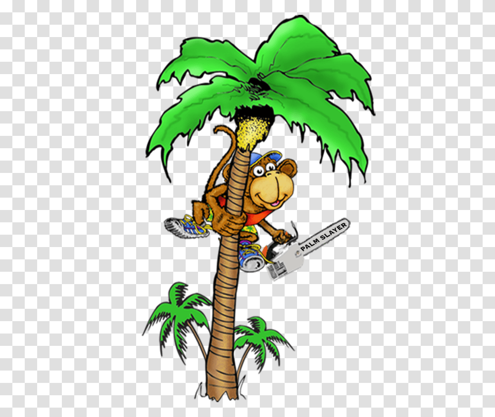 The Palminators Tree Trimming And Removals, Plant, Angry Birds, Dragon, Palm Tree Transparent Png