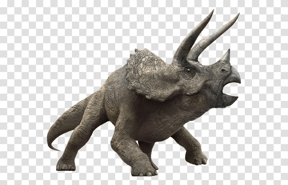 The Park Is Closed Triceratops Jurassic World, Dinosaur, Reptile, Animal, T-Rex Transparent Png