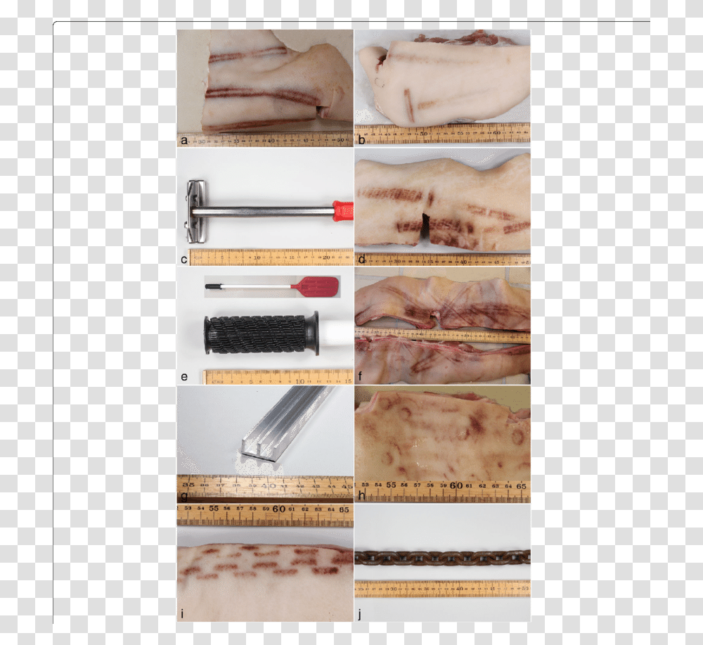 The Patterns Of Bruises On Pig Skin And Objects Clearly Andouillette, Person, Wood, Menu Transparent Png