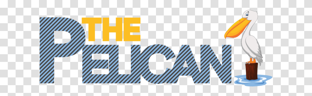 The Pelican Contents Restoration, Bird, Animal, Outdoors, Text Transparent Png