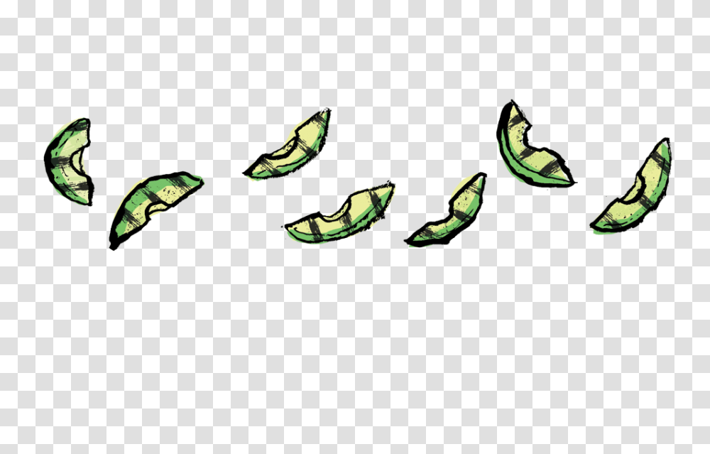 The Perfect Nachos A Step, Plant, Green, Animal, Fruit Transparent Png