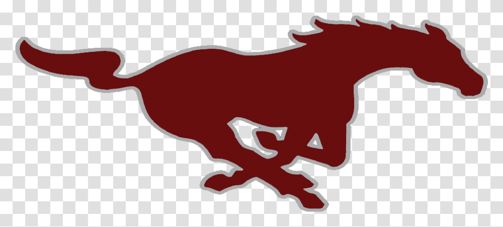 The Perryville Mustangs Clifton High School Mustang, Animal, Mammal, Ketchup, Cattle Transparent Png