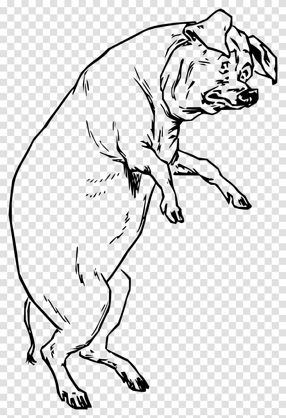 The Pig Who Had None Clip Arts Pigs On Hind Legs, Gray, World Of Warcraft Transparent Png
