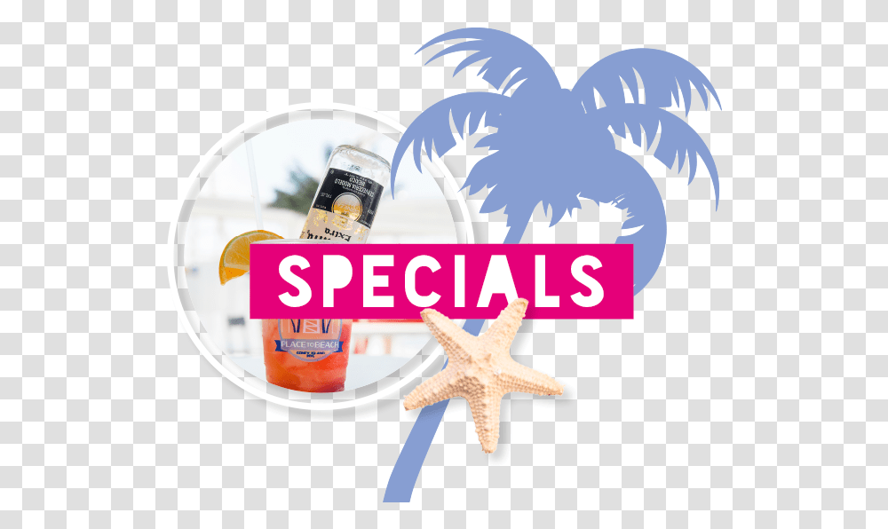 The Place To Eat Place To Drink Place To Dance And Echinoderm, Sea Life, Animal, Invertebrate, Bottle Transparent Png