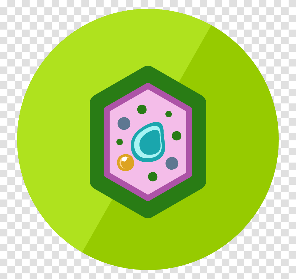The Plant Cell, Tennis Ball, Sport, Sphere, Face Transparent Png