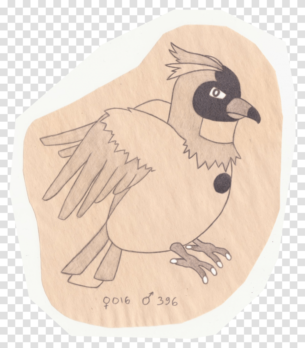 The Pokemon Ornithologist Pidgey Junco, Bird, Animal, Kiwi Bird, Drawing Transparent Png