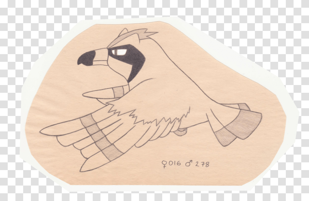 The Pokemon Ornithologist Pidgey Parrot, Drawing, Art, Rug, Bird Transparent Png
