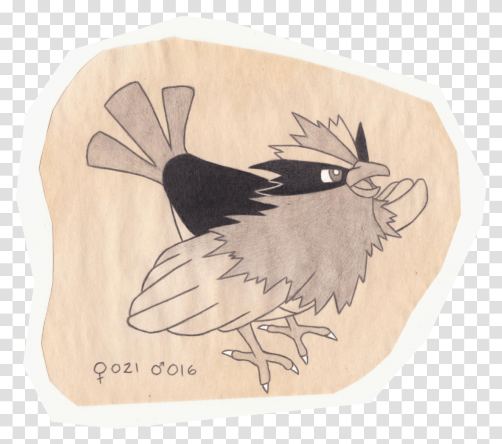 The Pokemon Ornithologist - Spearow Tiny Bird Pokemon Illustration, Wood, Animal, Text, Plant Transparent Png