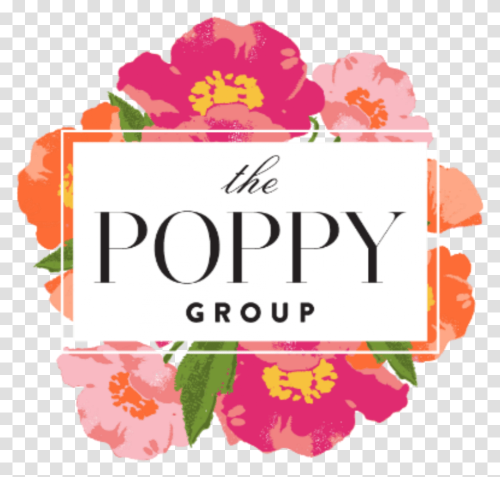 The Poppy Group Poppies, Text, Plant, Flower, Birthday Cake Transparent Png