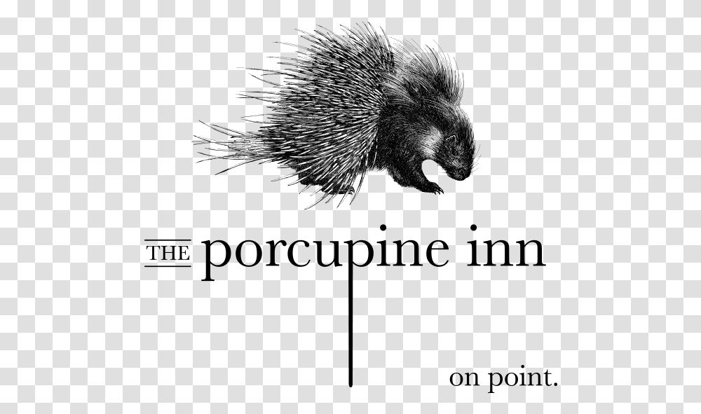 The Porcupine Inn Wild Atlantic Irish Gin, Gray, World Of Warcraft Transparent Png