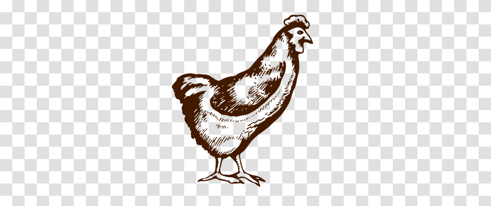 The Poultry Farmers Directory, Maroon Transparent Png