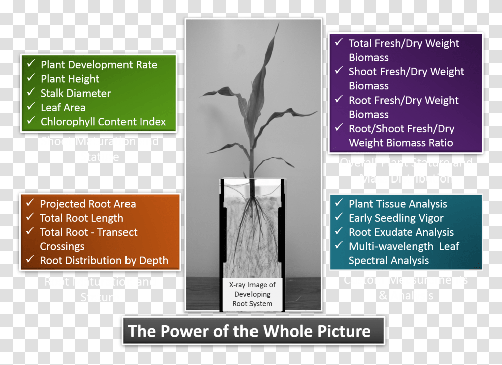 The Power Of The Whole Picture Trophy, Poster, Advertisement, Flyer, Paper Transparent Png