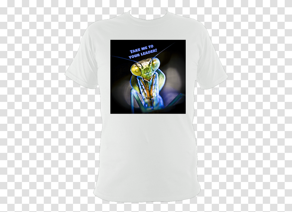 The Praying Mantis Yoda, Clothing, Apparel, T-Shirt, Person Transparent Png