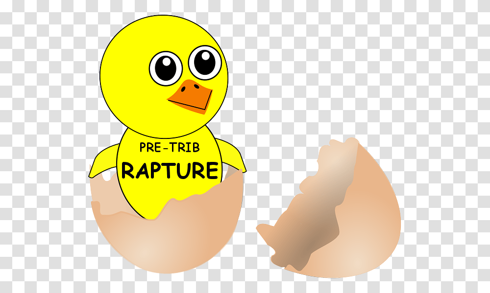 The Pre Tribulaation Raapture Theory Egg, Animal, Bird, Outdoors, Nature Transparent Png