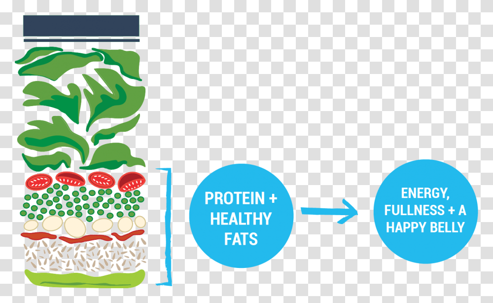 The Protein Fat Powerhouse, Plant Transparent Png