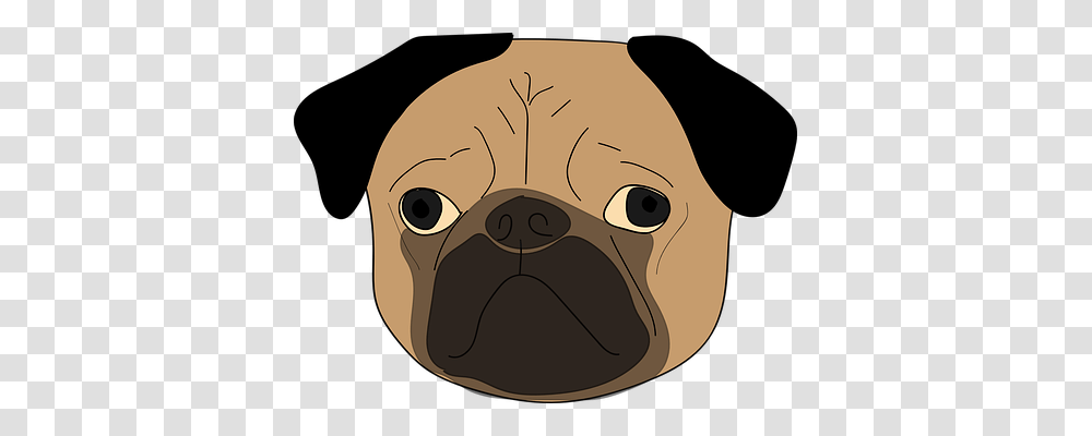 The Pug Animals, Mammal, Pet, Canine Transparent Png