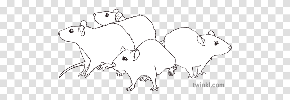 The Rats Black And White Illustration Twinkl Hand Love Black And White Clipart, Mammal, Animal, Person, Wildlife Transparent Png