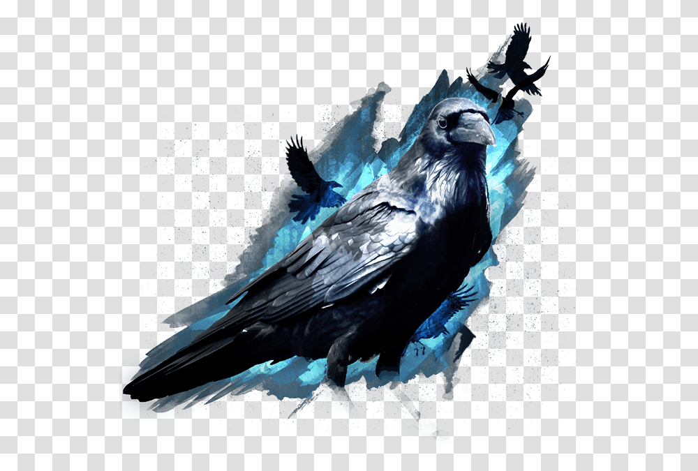 The Raven Cycle Revisited Magical Raven Bird, Animal, Crow, Blackbird, Agelaius Transparent Png