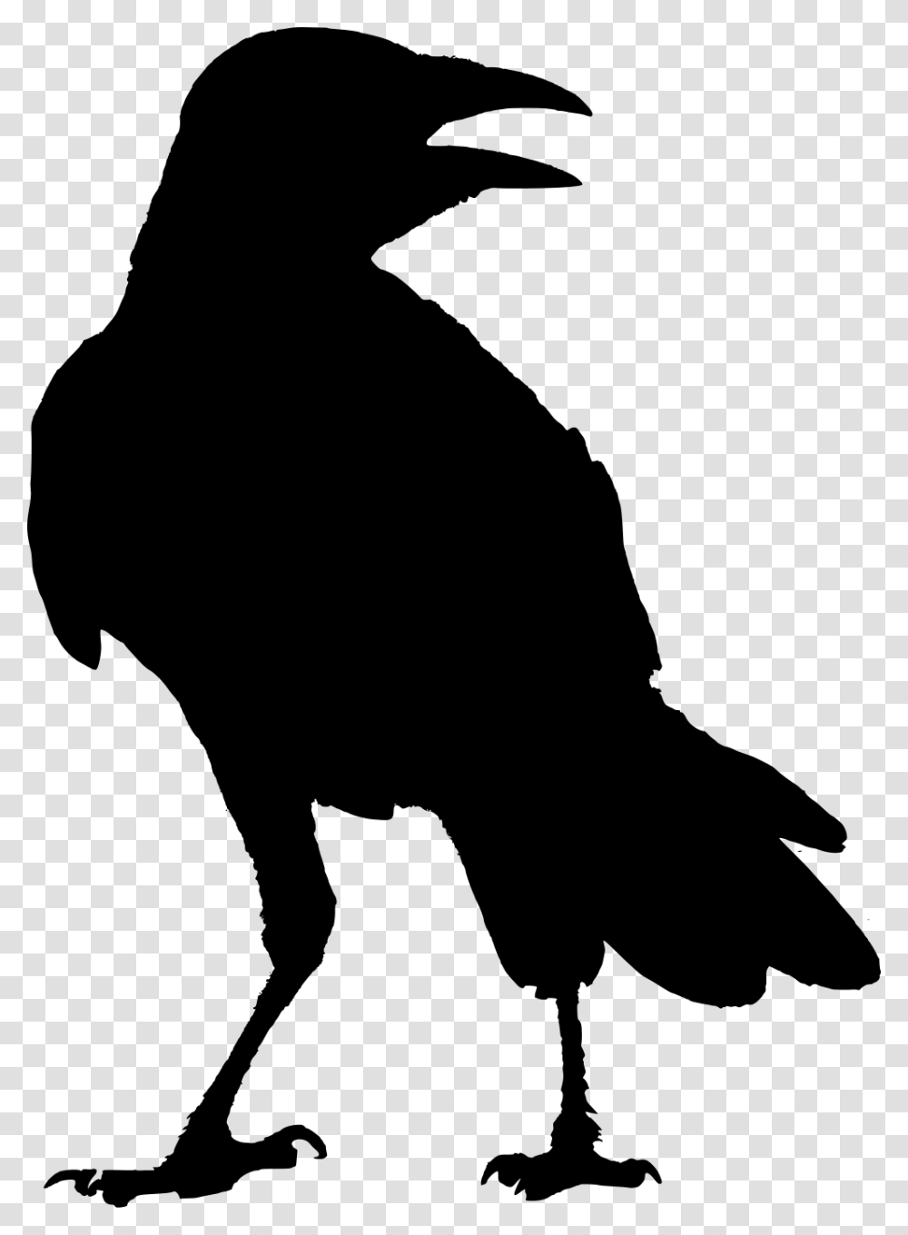 The Raven G Whitcoe Designs Crow Odin Raven Silhouette, Gray, World Of Warcraft Transparent Png