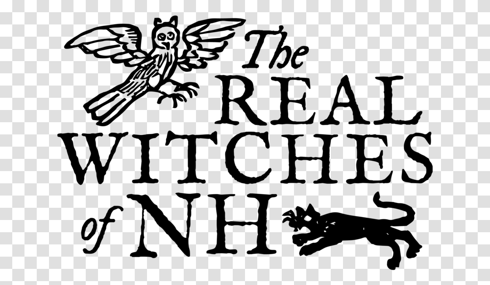 The Real Witches Of New Hampshire Insect, Gray, World Of Warcraft Transparent Png