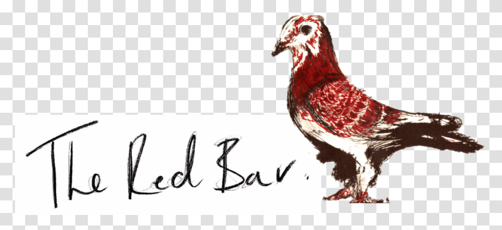 The Red Bar Post Chicken, Poultry, Fowl, Bird, Animal Transparent Png