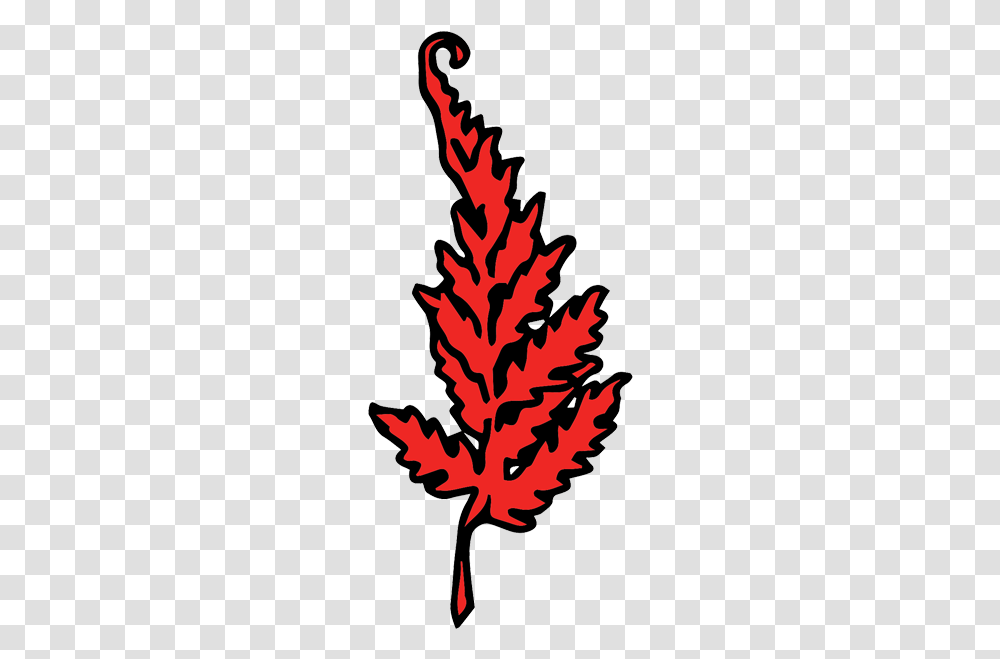 The Red Fern, Leaf, Plant, Tree, Maple Transparent Png