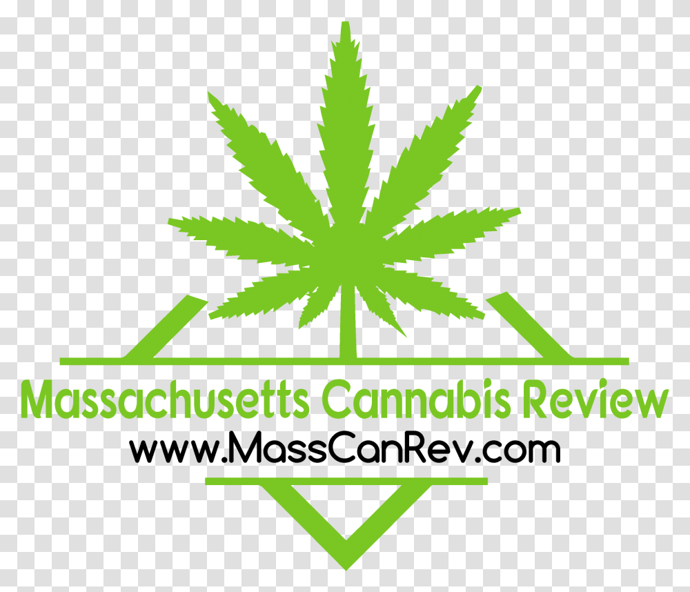 The Reel Ace Blog Marijuana Leaf Template, Plant, Weed, Hemp Transparent Png